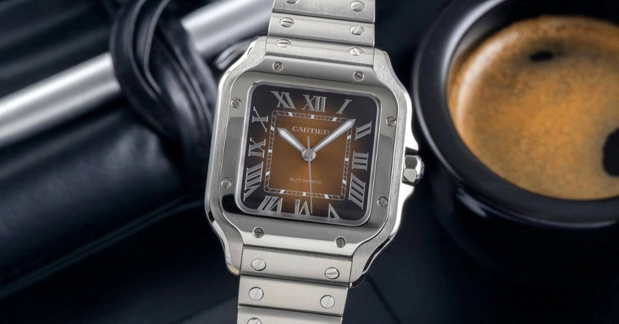 Strap Guide: Cartier Santos WSSA0065 - Helvetus