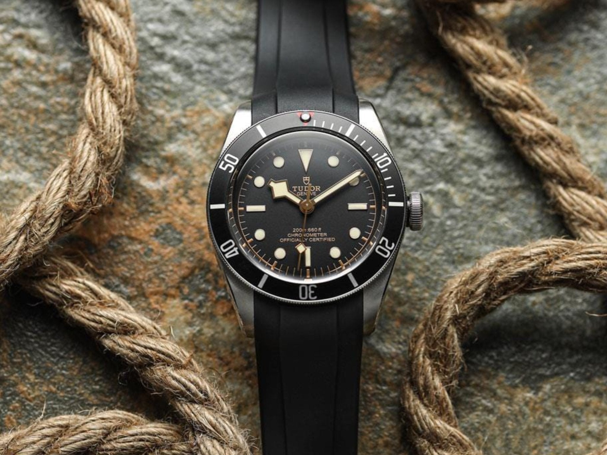 メル7921 Tudor Black Bay 41 Black 79230N Strap Guide