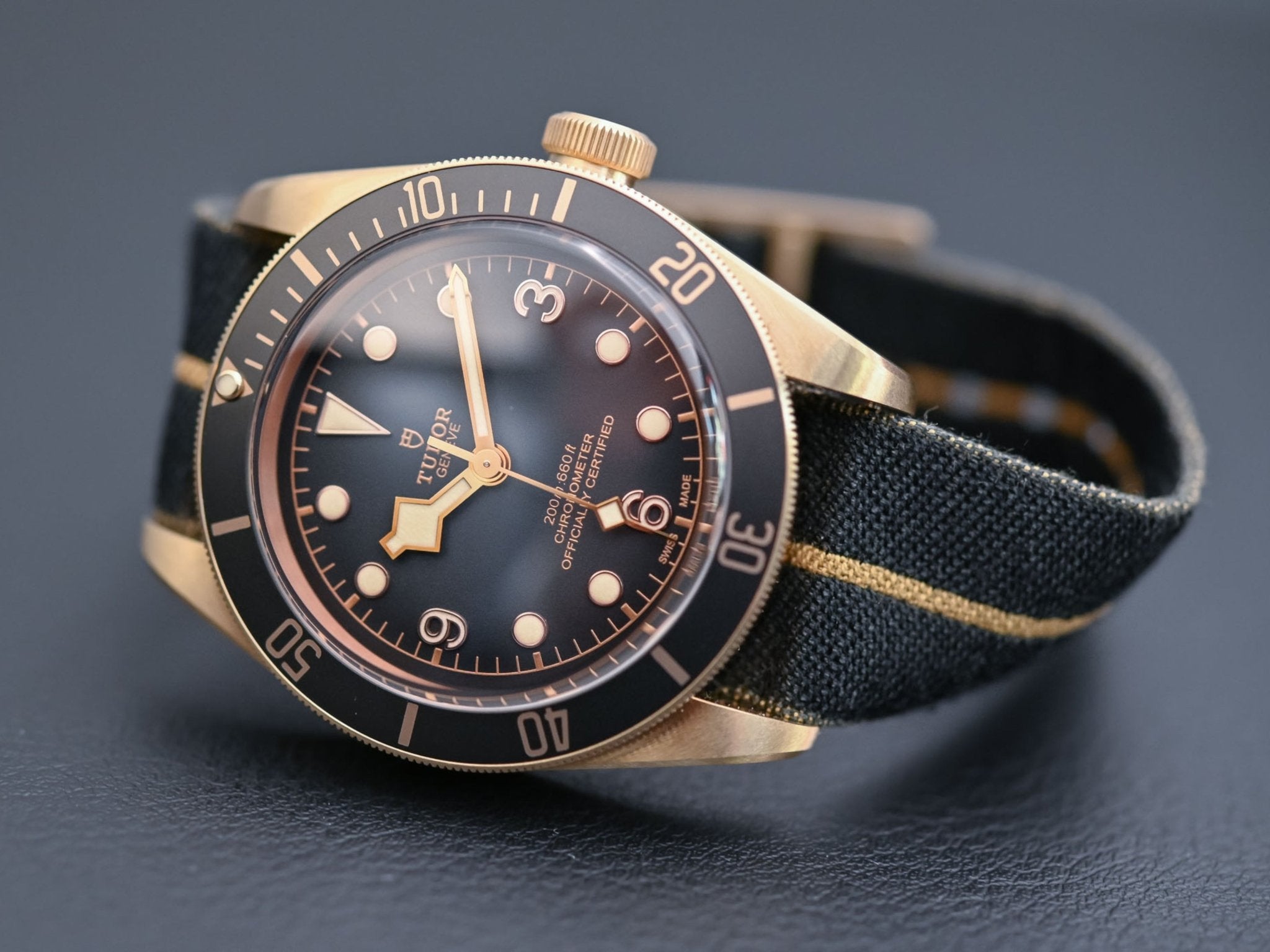 Tudor Black Bay Bronze 79250BA Strap Guide