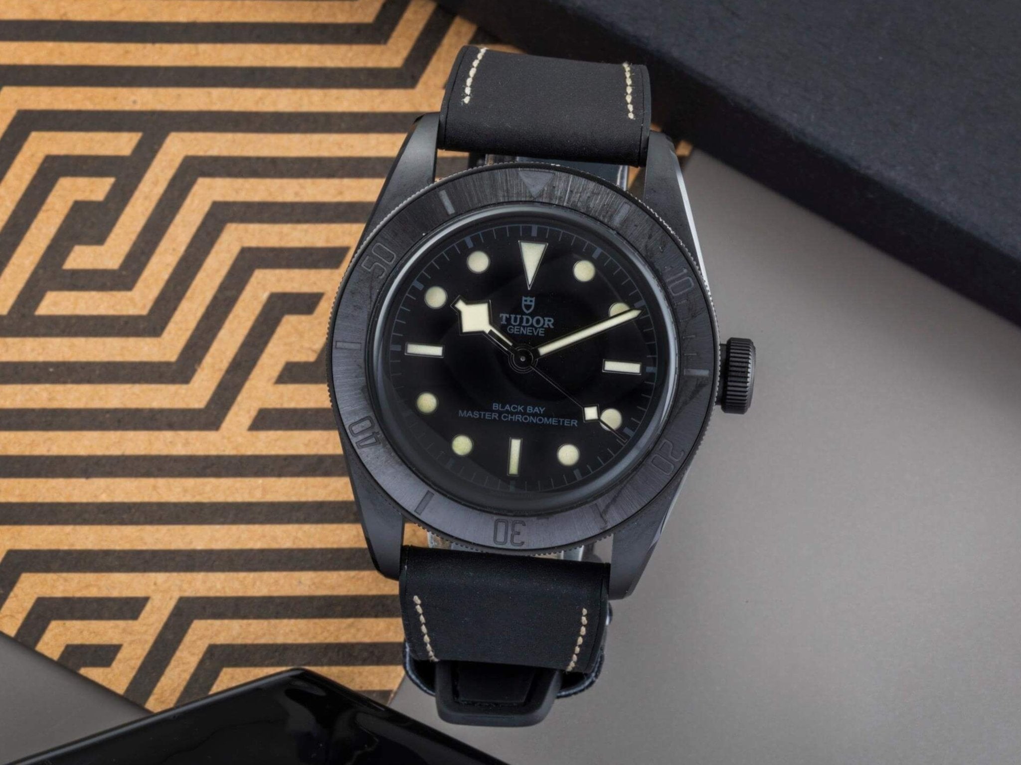 Tudor Black Bay Ceramic 79210CNU Strap Guide