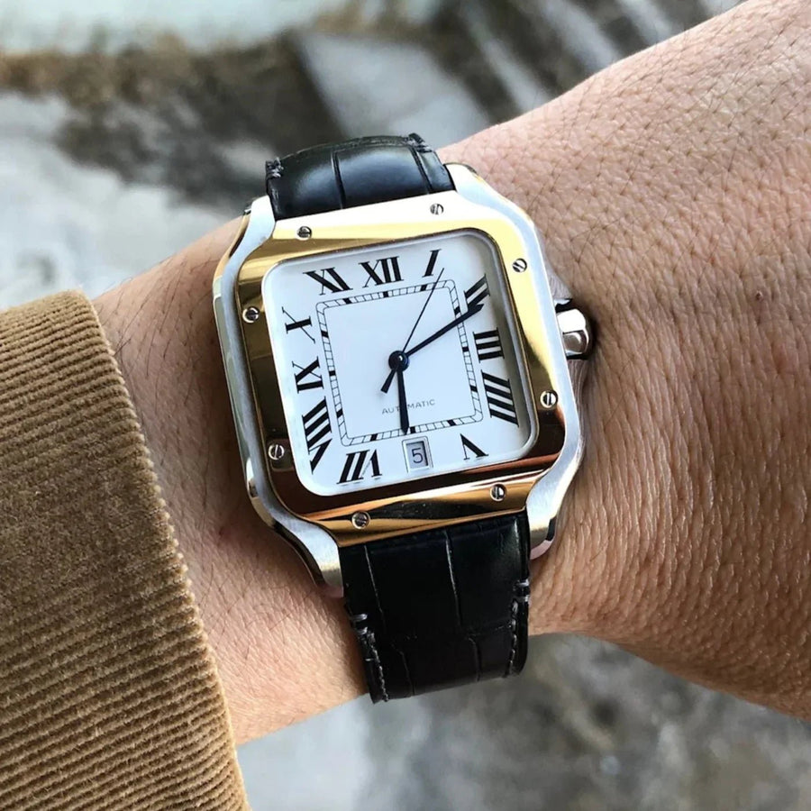 Which Strap Is Best for Your Cartier? Rubber, Leather & Nylon by Model - Helvetus